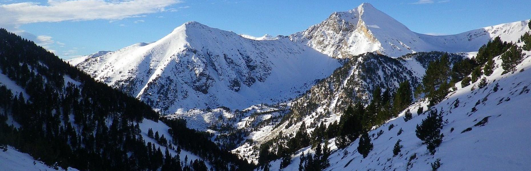 Descobreix el nostre entorn