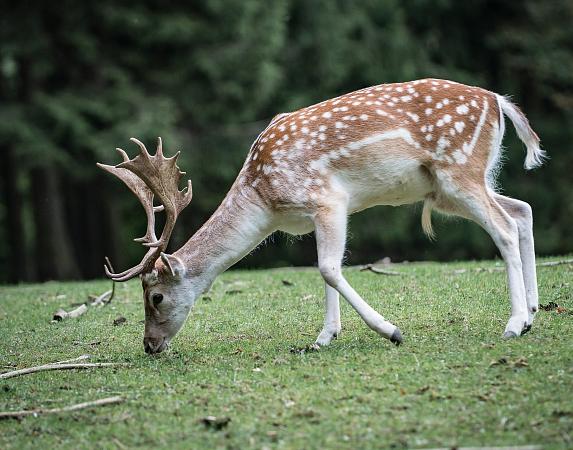 No te pierdas ninguna actividad en el Valle de Camprodon